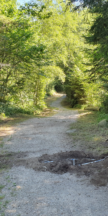 Eine Frau gräbt auf einem Weg im Wald eine Vertiefung, um Messungen vorzunehmen.