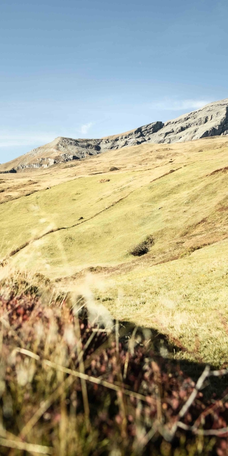 Eine Weidefläche im Herbst mit dem Piz Beverin im Hintergrund